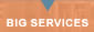 BIG Services